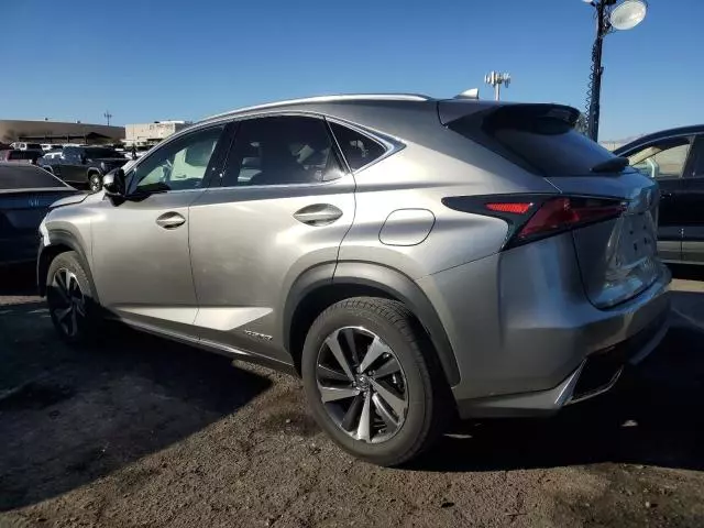 2020 Lexus NX 300H