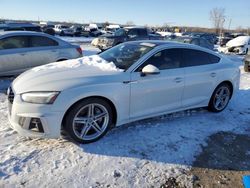 Audi a5 Premium Plus 45 salvage cars for sale: 2021 Audi A5 Premium Plus 45