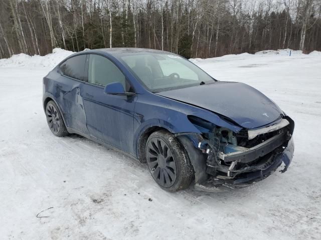 2022 Tesla Model Y