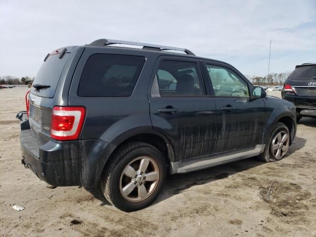 2009 Ford Escape Limited