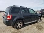 2009 Ford Escape Limited