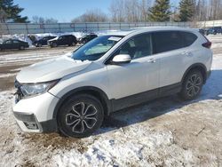 Salvage cars for sale at Davison, MI auction: 2020 Honda CR-V EXL