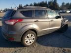 2013 Ford Escape S