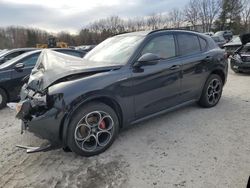 Alfa Romeo salvage cars for sale: 2022 Alfa Romeo Stelvio TI