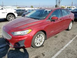 Salvage cars for sale at Van Nuys, CA auction: 2019 Ford Fusion SE