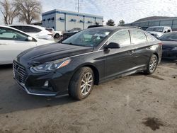 Salvage cars for sale at Albuquerque, NM auction: 2018 Hyundai Sonata SE