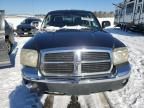 2005 Dodge Dakota Quad SLT