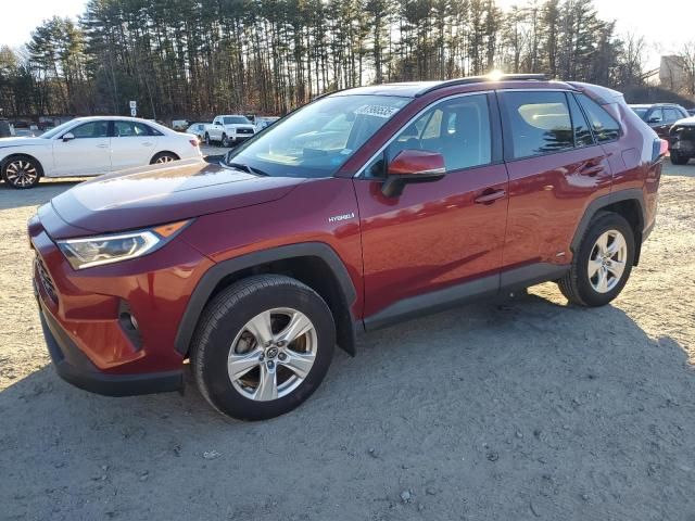 2020 Toyota Rav4 XLE