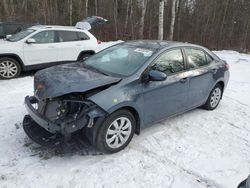 Salvage cars for sale from Copart Cookstown, ON: 2014 Toyota Corolla L