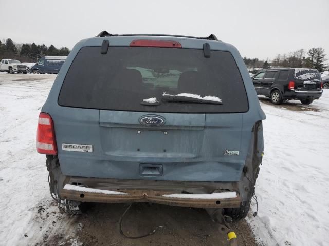 2011 Ford Escape XLT