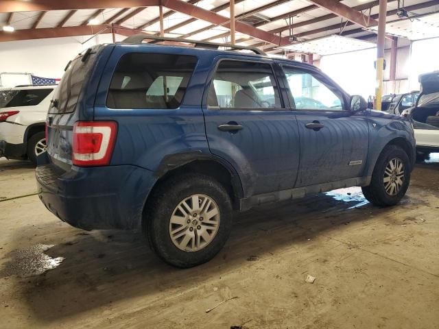 2008 Ford Escape XLT