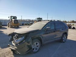 Salvage cars for sale at Des Moines, IA auction: 2024 Toyota Rav4 XLE