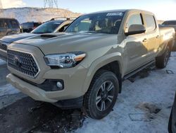 Salvage cars for sale at Littleton, CO auction: 2019 Toyota Tacoma Double Cab