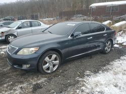 Salvage cars for sale at Baltimore, MD auction: 2010 Lexus LS 460