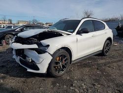 Alfa Romeo Stelvio salvage cars for sale: 2019 Alfa Romeo Stelvio