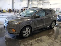 Ford salvage cars for sale: 2018 Ford Escape S