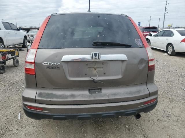 2010 Honda CR-V EXL