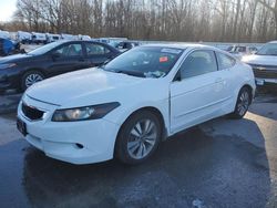 Vehiculos salvage en venta de Copart Glassboro, NJ: 2009 Honda Accord EXL