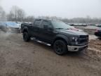 2009 Ford F150 Supercrew