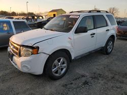 Ford salvage cars for sale: 2009 Ford Escape XLT