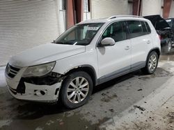 Salvage cars for sale at Ellwood City, PA auction: 2009 Volkswagen Tiguan SE