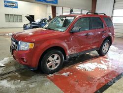 Ford Vehiculos salvage en venta: 2011 Ford Escape XLT