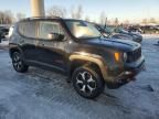 2019 Jeep Renegade Trailhawk