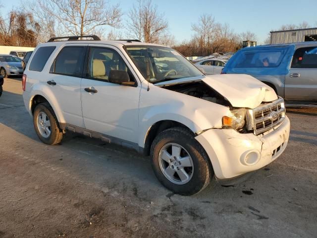 2012 Ford Escape XLT