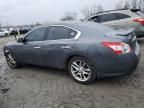 2010 Nissan Maxima S