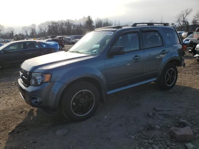 2011 Ford Escape XLT