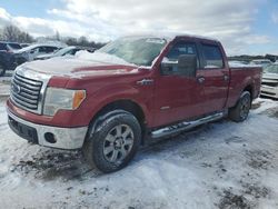 Salvage trucks for sale at Duryea, PA auction: 2011 Ford F150 Supercrew