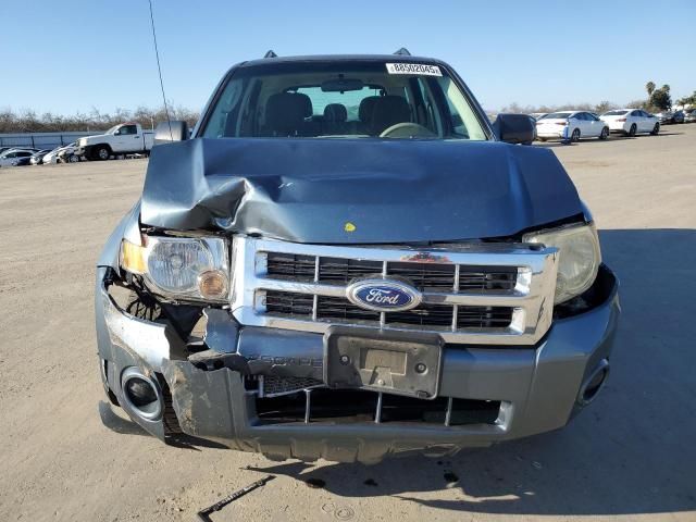 2011 Ford Escape XLS