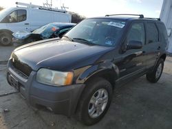 2004 Ford Escape XLT en venta en Windsor, NJ