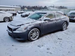 Nissan salvage cars for sale: 2011 Nissan Maxima S