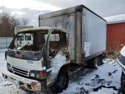 Salvage trucks for sale at Albany, NY auction: 2002 GMC 5500 W55042