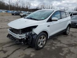 Salvage cars for sale at Marlboro, NY auction: 2014 Ford Escape SE