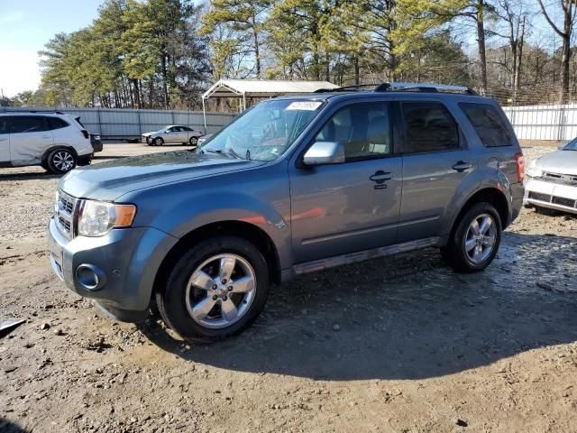 2010 Ford Escape Limited