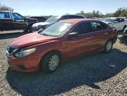 Salvage cars for sale at Riverview, FL auction: 2016 Nissan Altima 2.5