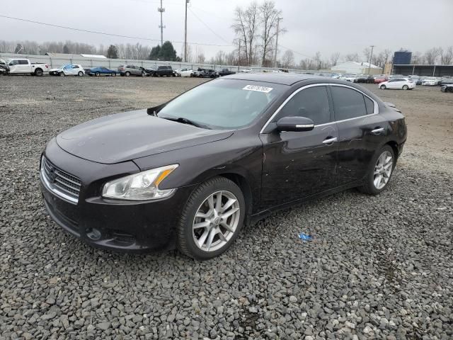 2010 Nissan Maxima S