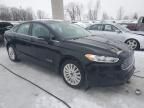 2014 Ford Fusion SE Hybrid