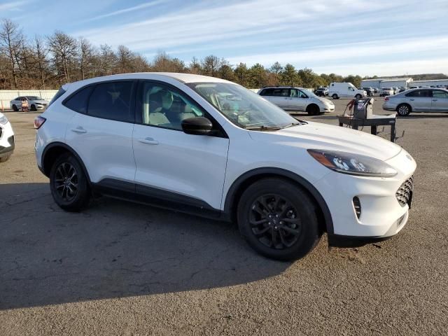 2020 Ford Escape SE Sport