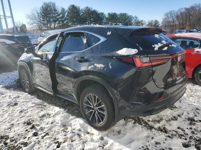 2022 Lexus NX 350