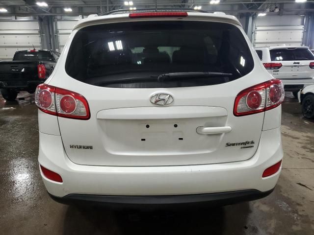 2010 Hyundai Santa FE SE