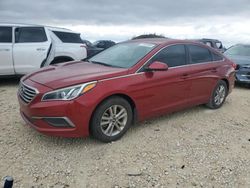 Hyundai Sonata se Vehiculos salvage en venta: 2016 Hyundai Sonata SE