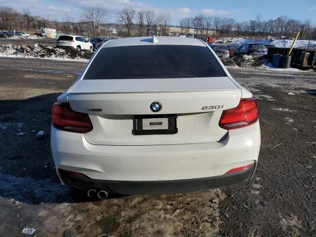 2020 BMW 230XI