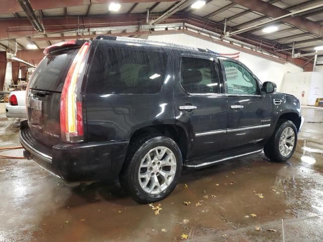 2010 Cadillac Escalade Luxury