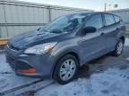 2013 Ford Escape S