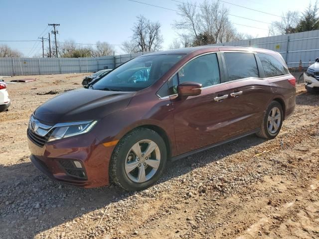 2019 Honda Odyssey EXL