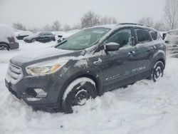 Salvage cars for sale at London, ON auction: 2018 Ford Escape SE