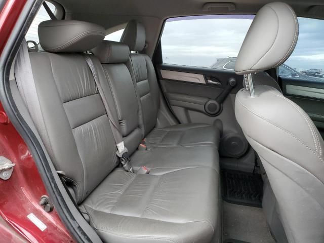 2010 Honda CR-V EXL